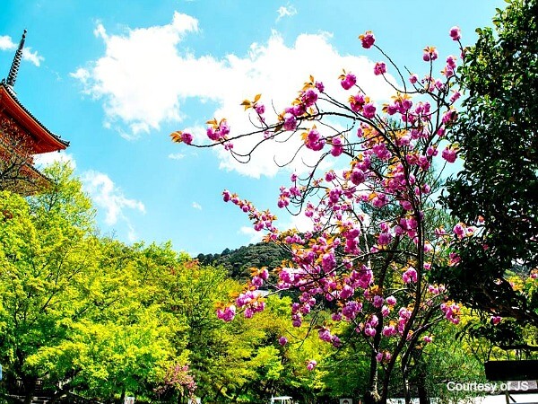 Tokyo Japan